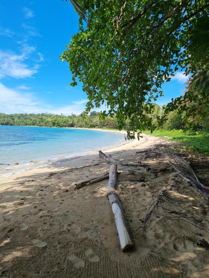 Drago Beach House - Private Beach بوكا ديل دراجو المظهر الخارجي الصورة