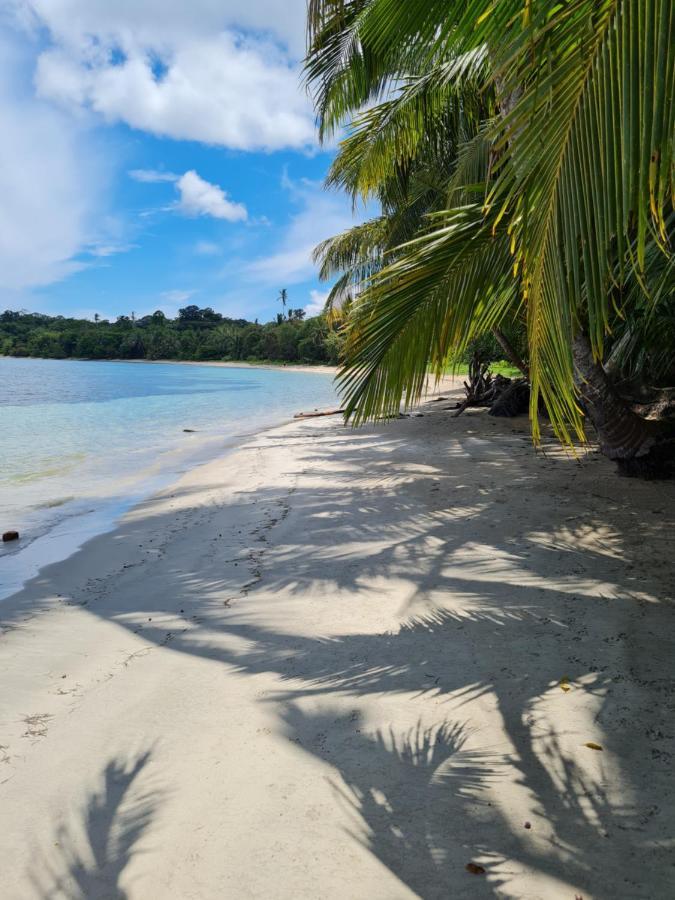 Drago Beach House - Private Beach بوكا ديل دراجو المظهر الخارجي الصورة