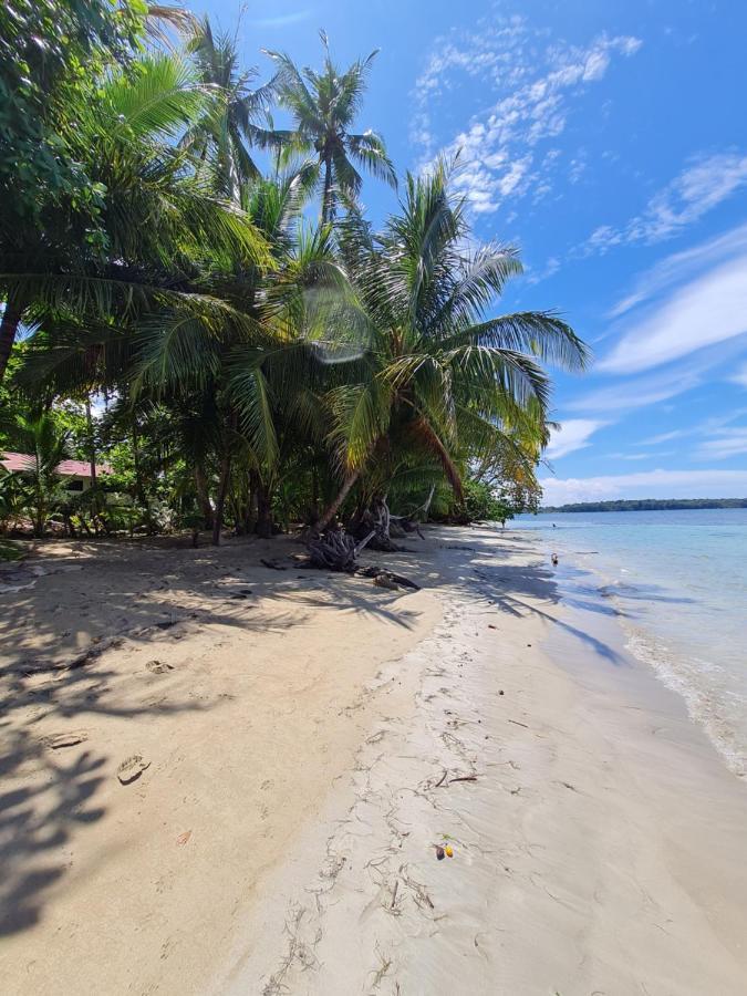 Drago Beach House - Private Beach بوكا ديل دراجو المظهر الخارجي الصورة