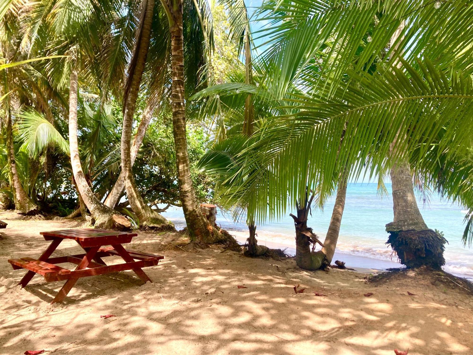 Drago Beach House - Private Beach بوكا ديل دراجو المظهر الخارجي الصورة