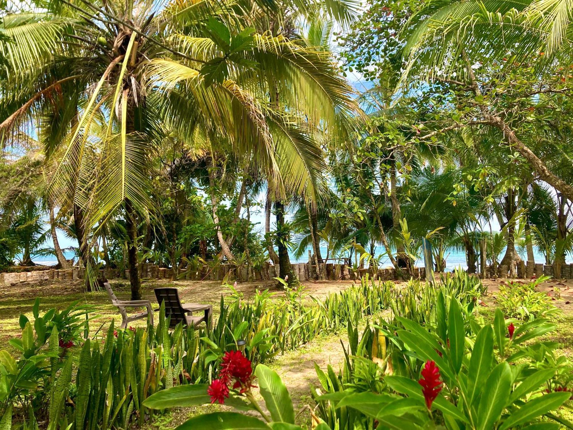 Drago Beach House - Private Beach بوكا ديل دراجو المظهر الخارجي الصورة