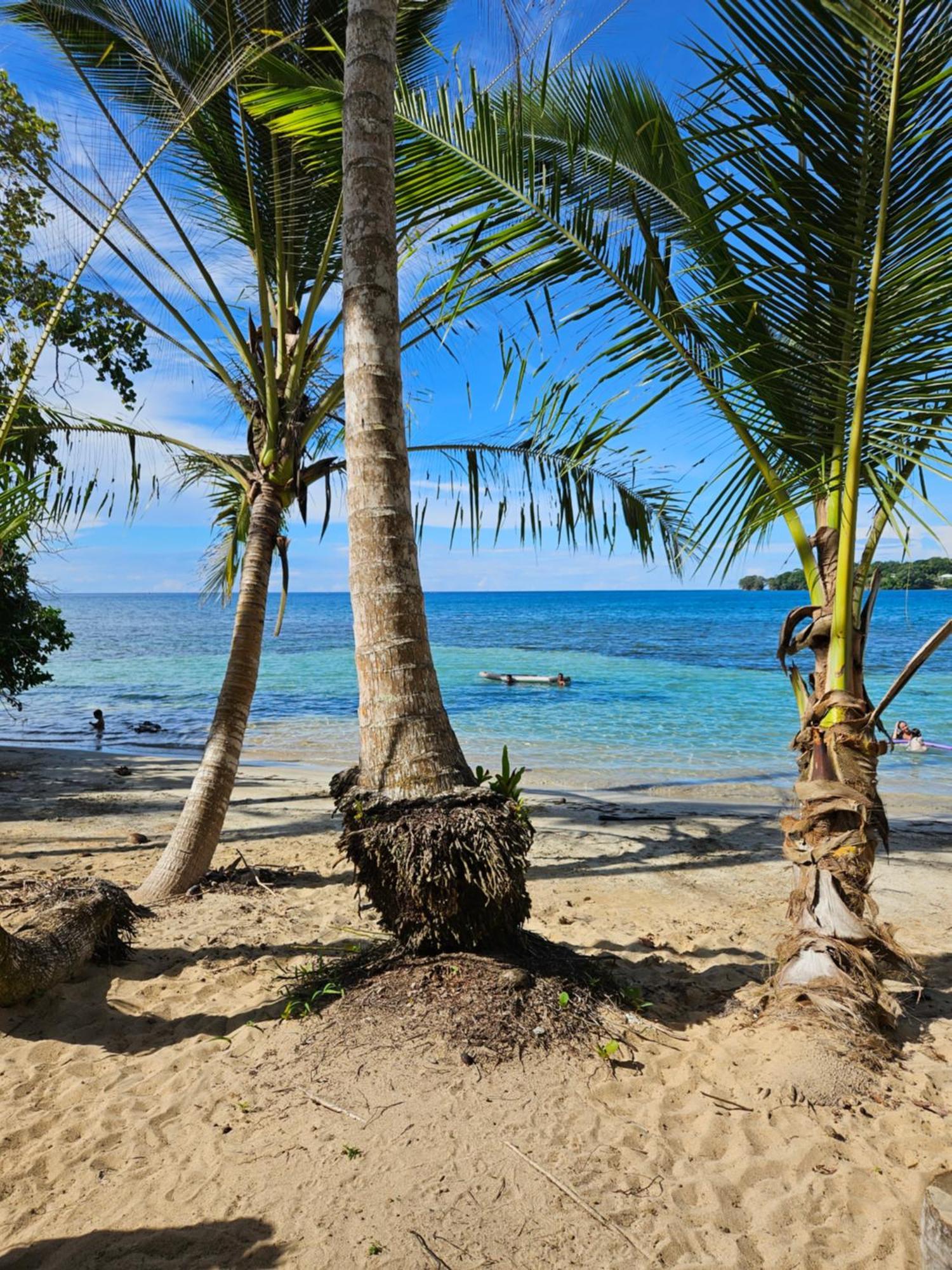Drago Beach House - Private Beach بوكا ديل دراجو المظهر الخارجي الصورة