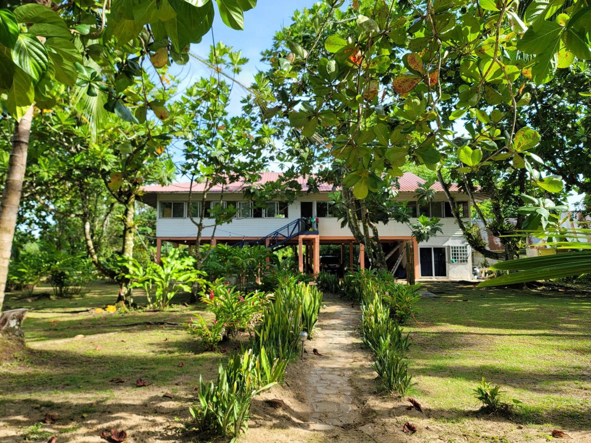Drago Beach House - Private Beach بوكا ديل دراجو المظهر الخارجي الصورة